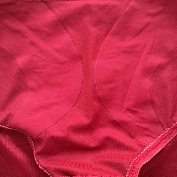 Ruby Ribbon Red High-Waisted Briefs - Picture 4 of 5